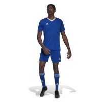 adidas Entrada 22 Trikot Herren - blau