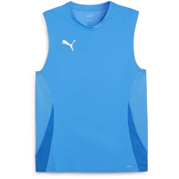 Puma teamGOAL ärmelloses Trikot Herren - blau