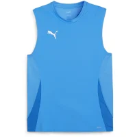 Puma teamGOAL ärmelloses Trikot Herren - blau