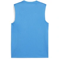 Puma teamGOAL ärmelloses Trikot Herren - blau
