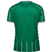 hummel SV Werder Bremen Trikot Home 25/26 Herren - beige/grün