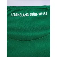 hummel SV Werder Bremen Trikot Home 25/26 Herren - beige/grün