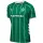 hummel SV Werder Bremen Trikot Home 25/26 Herren - beige/grün