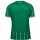 hummel SV Werder Bremen Trikot Home 25/26 Herren - beige/grün