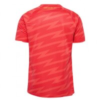 hummel SV Werder Bremen Torwarttrikot 25/26 Herren - rot/gelb
