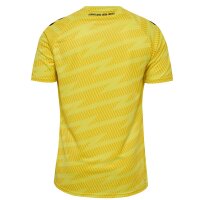 hummel SV Werder Bremen Torwarttrikot 25/26 Kinder -...
