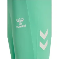 hummel SV Werder Bremen Trainingshose 25/26 Herren - grün/schwarz/weiß