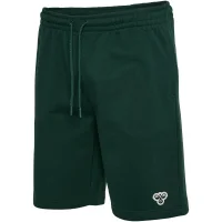 hummel SV Werder Bremen Travel Sweat Shorts 25/26 Kinder...