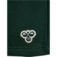hummel SV Werder Bremen Travel Sweat Shorts 25/26 Kinder - dunkelgrün