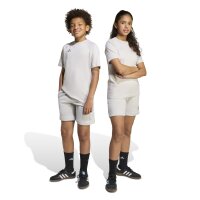 adidasTiro 25 Travel Shorts Kinder - grau