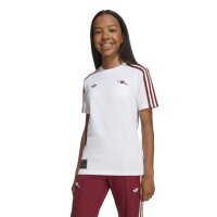 adidas FC Arsenal London Terrace Icons T-Shirt 25/26...