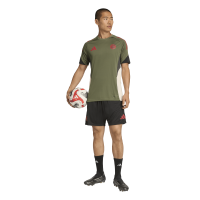 adidas FC Bayern München Tiro 25 Competition Trainingsshorts 25/26 Herren - schwarz/rot