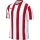 Nike Striped Division V Trikot Herren - weiß/rot