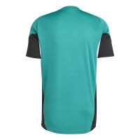 adidas FC Liverpool Tiro 25 Competition Trainingstrikot...