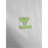 hummel SV Werder Bremen Trikot Away 25/26 Herren - beige/grün