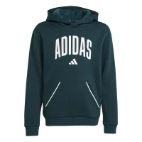 adidas Seasonals Essentials Collegiate Typography Hoodie...