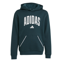 adidas Seasonals Essentials Collegiate Typography Hoodie...