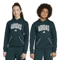 adidas Seasonals Essentials Collegiate Typography Hoodie...