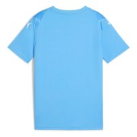 Puma teamULTIMATE Trikot Kinder - blau