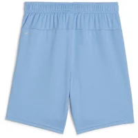 Puma teamGOAL Shorts Kinder - hellblau