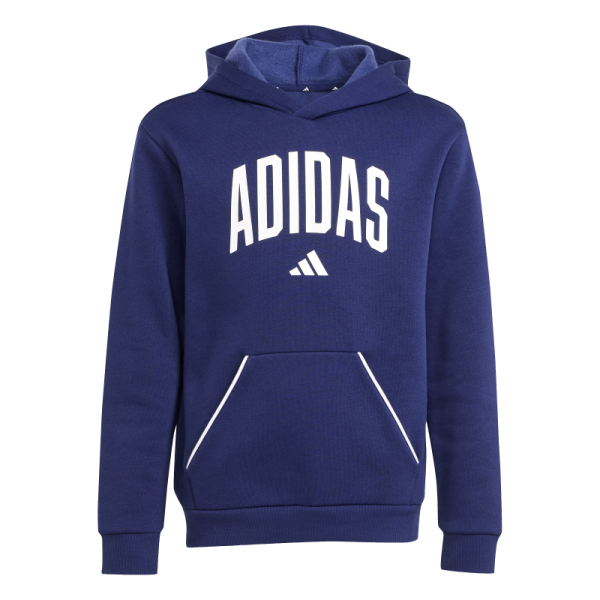 adidas Seasonals Essentials Collegiate Typography Hoodie Kinder - blau/weiß