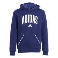 adidas Seasonals Essentials Collegiate Typography Hoodie...