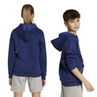 adidas Seasonals Essentials Collegiate Typography Hoodie Kinder - blau/weiß