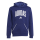 adidas Seasonals Essentials Collegiate Typography Hoodie Kinder - blau/weiß