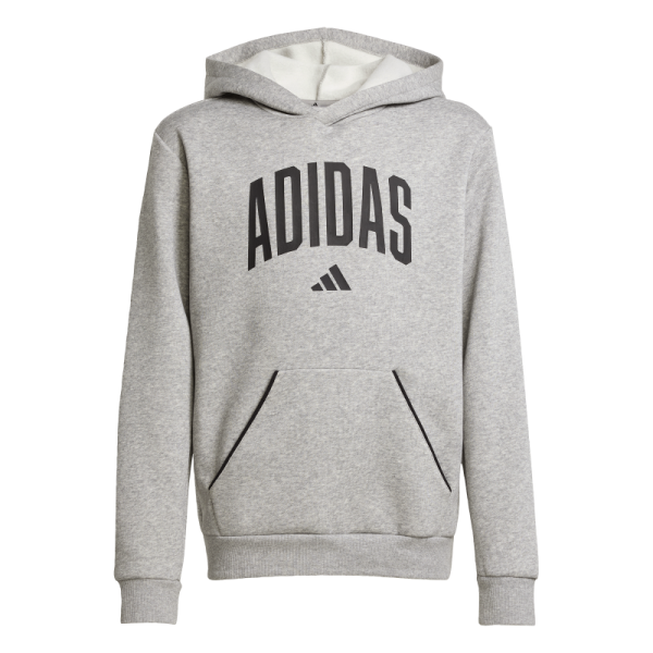 adidas Seasonals Essentials Collegiate Typography Hoodie Kinder - grau/schwarz