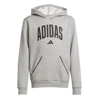 adidas Seasonals Essentials Collegiate Typography Hoodie...