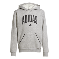 adidas Seasonals Essentials Collegiate Typography Hoodie...