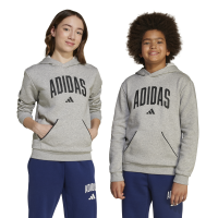 adidas Seasonals Essentials Collegiate Typography Hoodie...