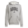 adidas Seasonals Essentials Collegiate Typography Hoodie Kinder - grau/schwarz
