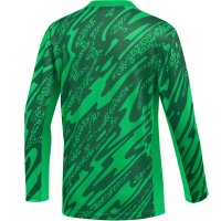 Nike Gardien V Torwarttrikot Kinder - grün