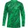 Nike Gardien V Torwarttrikot Herren - grün