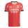 adidas Benfica Lissabon Trikot Home 25/26 Herren - rot/weiß//schwarz
