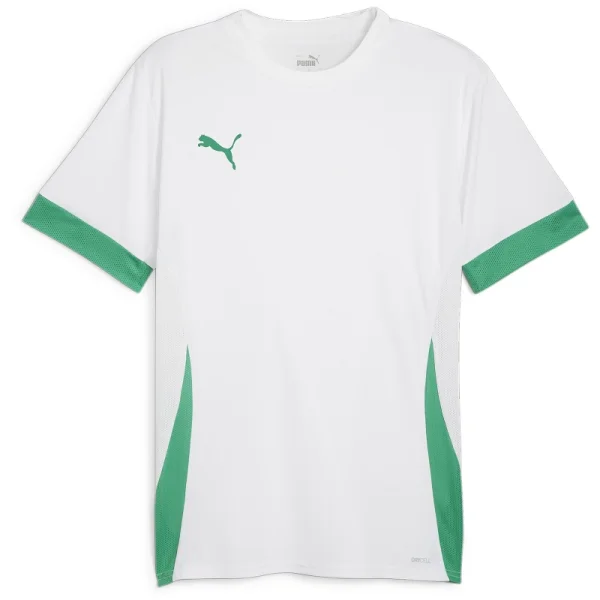Puma teamGOAL Trikot Herren - weiß/grün