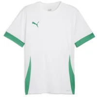 Puma teamGOAL Trikot Herren - weiß/grün