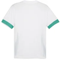 Puma teamGOAL Trikot Herren - weiß/grün
