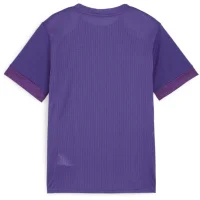 Puma teamGOAL Matchday Trikot Kinder - lila