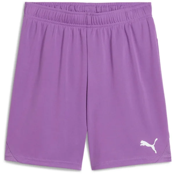 Puma teamGOAL Shorts Kinder - violet