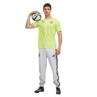 Puma Borussia Dortmund Warm Up Trikot 25/26 Herren - silber/gelb