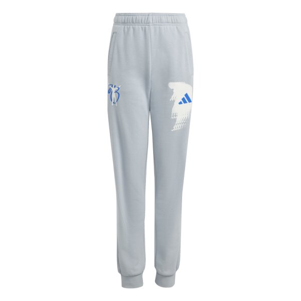 adidas Jude Bellingham Jogginghose Kinder - grau/weiß/blau - 176