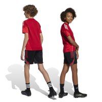 adidas Tiro 25 Competition Trainingsshorts Kinder - schwarz/rot