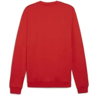 Puma teamGOAL Casuals Sweatshirt Herren - rot