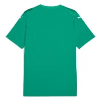 Puma teamULTIMATE Trikot Herren - grün/weiß