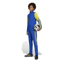 adidas Squadra 25 Trainingshose Kinder - blau/gelb