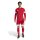 adidas Squadra 25 Langarm Trikot Herren - rot/weiß