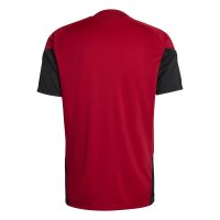 adidas DFB Trainingstrikot Herren WM2026 - rot/gold/schwarz