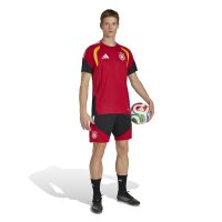 adidas DFB Trainingstrikot Herren WM2026 - rot/gold/schwarz
